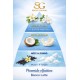 CLEMENTE L'AMMORBIDENTE SUPER CONCENTRATO, Liquido BIANCO LATTE 1 LITRO FORMATO PROFESSIONALE