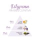 Lilypenn Profumo Bucato 500 ml